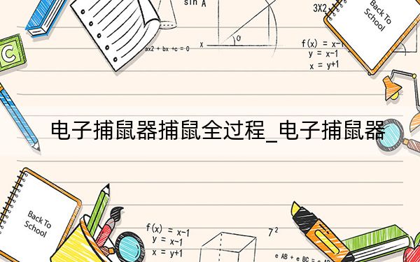 电子捕鼠器捕鼠全过程_电子捕鼠器
