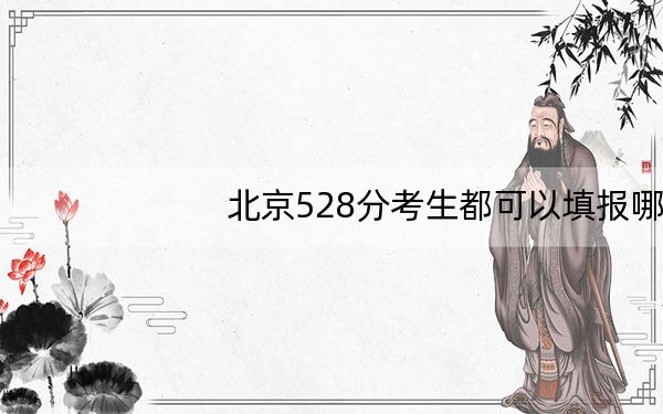 北京528分考生都可以填报哪些公办大学? 2024年高考有29所最低分在528左右的大学