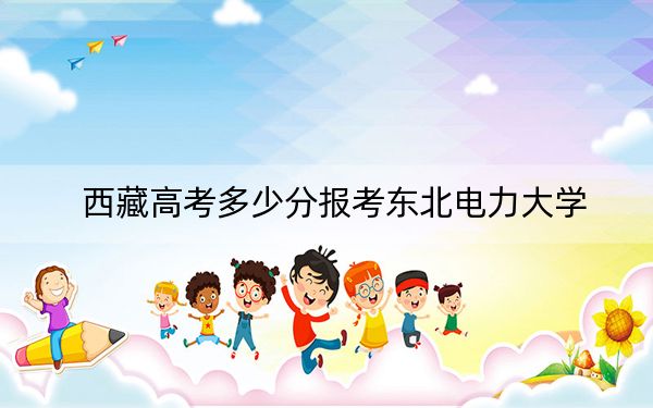 西藏高考多少分报考东北电力大学?附2022-2024年最低录取分数线
