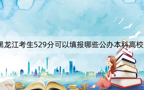 黑龙江考生529分可以填报哪些公办本科高校名单？（附带2022-2024年529左右大学名单）