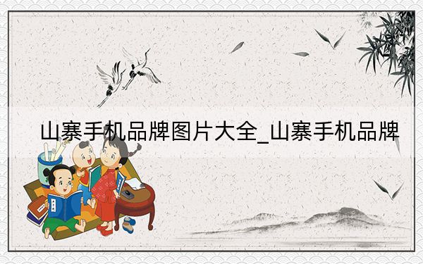 山寨手机品牌图片大全_山寨手机品牌