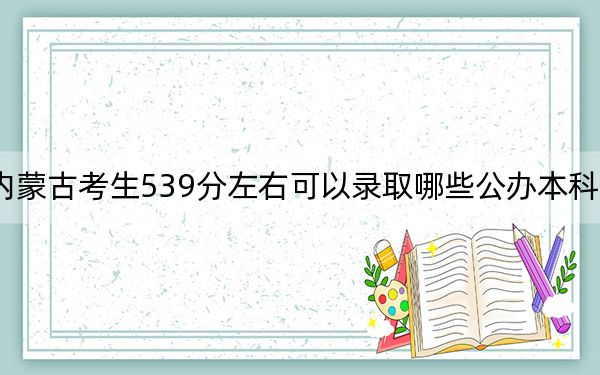 内蒙古考生539分左右可以录取哪些公办本科大学？（供2025届高三考生参考）