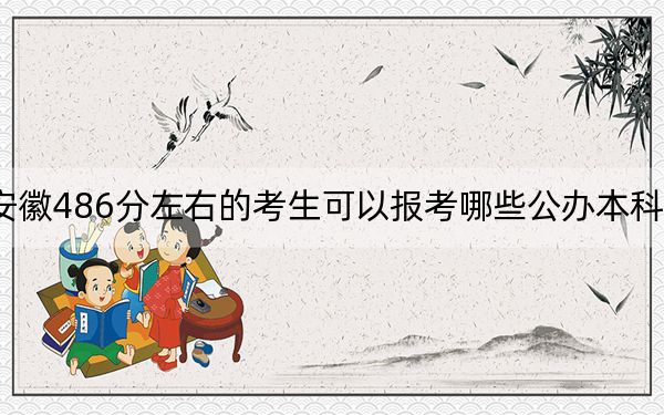 安徽486分左右的考生可以报考哪些公办本科大学？