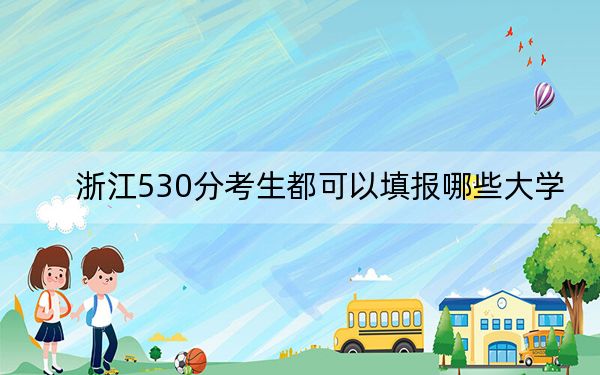 浙江530分考生都可以填报哪些大学？（附带近三年530分大学录取名单）