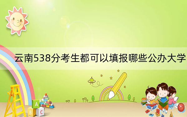 云南538分考生都可以填报哪些公办大学?