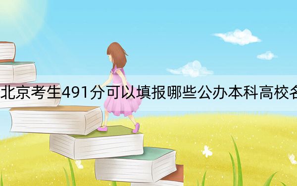 北京考生491分可以填报哪些公办本科高校名单？（附带2022-2024年491录取名单）