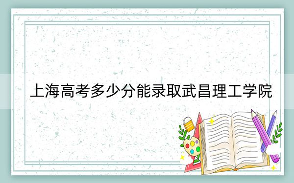 上海高考多少分能录取武昌理工学院？2024年综合最低分405分