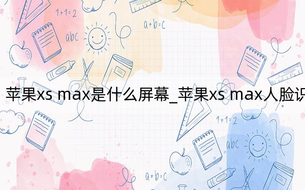 苹果xs max是什么屏幕_苹果xs max人脸识别不了
