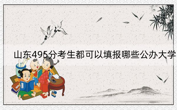 山东495分考生都可以填报哪些公办大学？ 2024年高考有30所最低分在495左右的大学