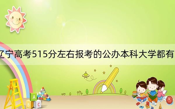 辽宁高考515分左右报考的公办本科大学都有哪些？