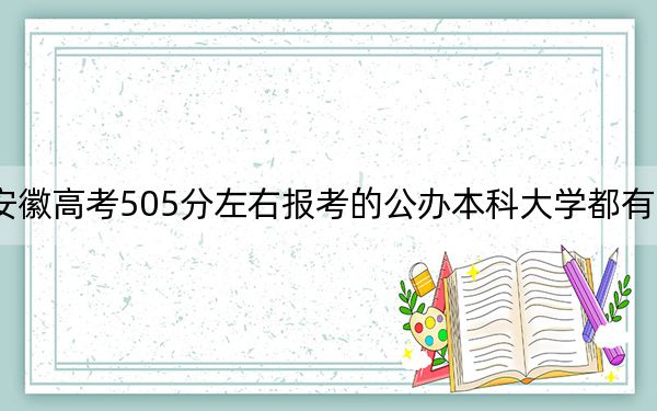 安徽高考505分左右报考的公办本科大学都有哪些?(附带2022-2024年505录取名单)