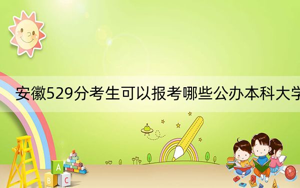 安徽529分考生可以报考哪些公办本科大学？（附带2022-2024年529左右大学名单）