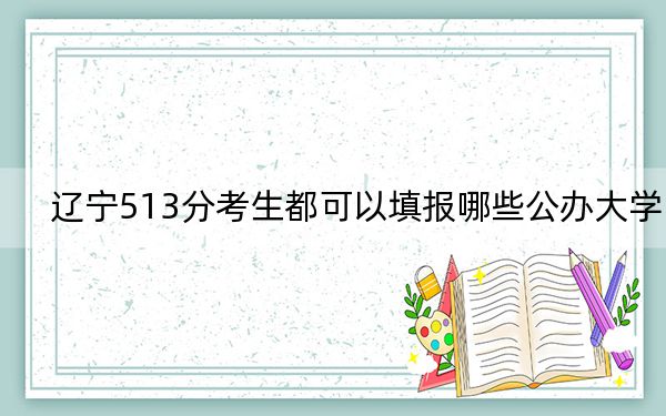 辽宁513分考生都可以填报哪些公办大学？ 2025年高考可以填报17所大学