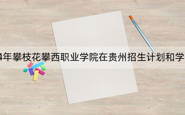 2024年攀枝花攀西职业学院在贵州招生计划和学费是多少？录取分数线是多少？