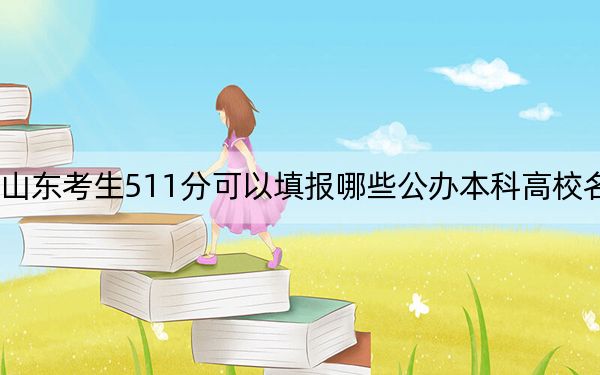 山东考生511分可以填报哪些公办本科高校名单？（供2025年考生参考）