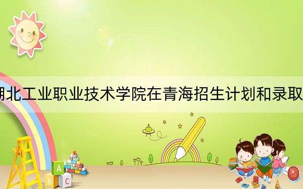 2024年湖北工业职业技术学院在青海招生计划和录取分数线是多少?青海考生2025年参考