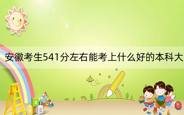 安徽考生541分左右能考上什么好的本科大学？ 2024年一共录取61所大学