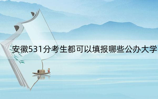 安徽531分考生都可以填报哪些公办大学？ 2024年高考有70所最低分在531左右的大学