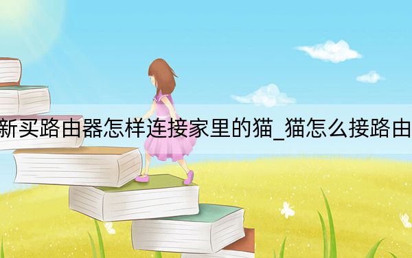 新买路由器怎样连接家里的猫_猫怎么接路由器