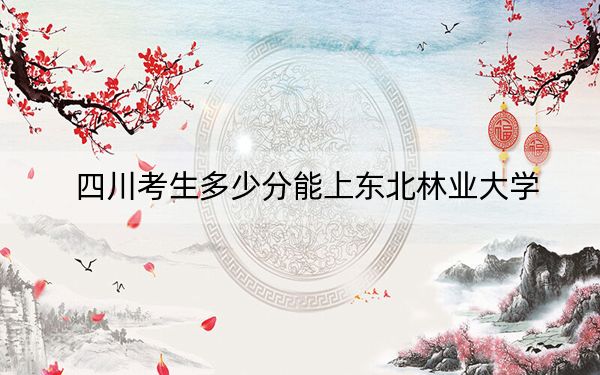 四川考生多少分能上东北林业大学？附带近三年最低录取分数线