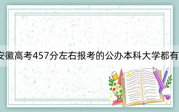 安徽高考457分左右报考的公办本科大学都有哪些？ 2025年高考可以填报0所大学