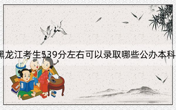 黑龙江考生539分左右可以录取哪些公办本科大学？（附带近三年高考大学录取名单）