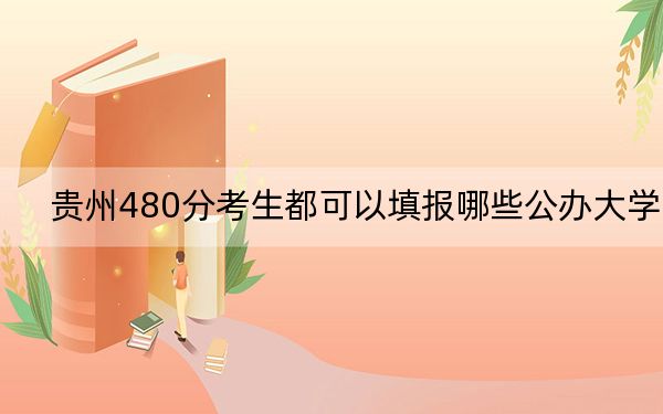 贵州480分考生都可以填报哪些公办大学？ 2024年高考有56所最低分在480左右的大学