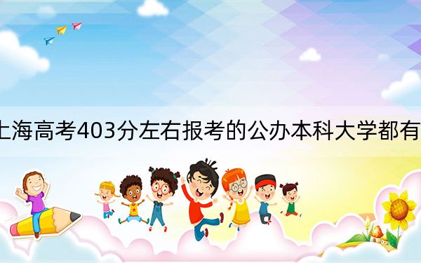 上海高考403分左右报考的公办本科大学都有哪些？ 2024年一共0所大学录取