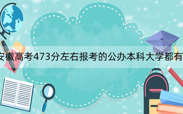 安徽高考473分左右报考的公办本科大学都有哪些？ 2024年高考有7所最低分在473左右的大学