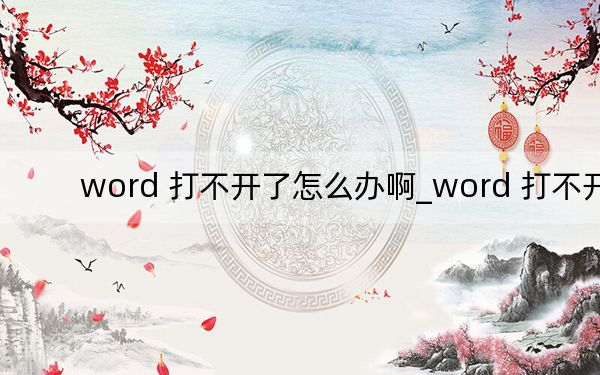 word 打不开了怎么办啊_word 打不开