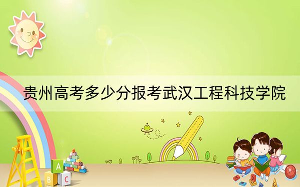 贵州高考多少分报考武汉工程科技学院？附2022-2024年最低录取分数线