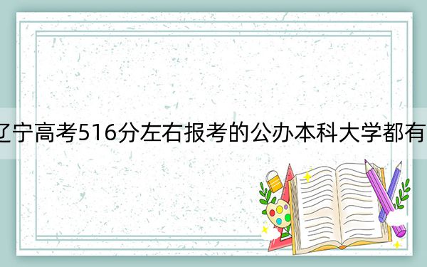 辽宁高考516分左右报考的公办本科大学都有哪些？（供2025年考生参考）