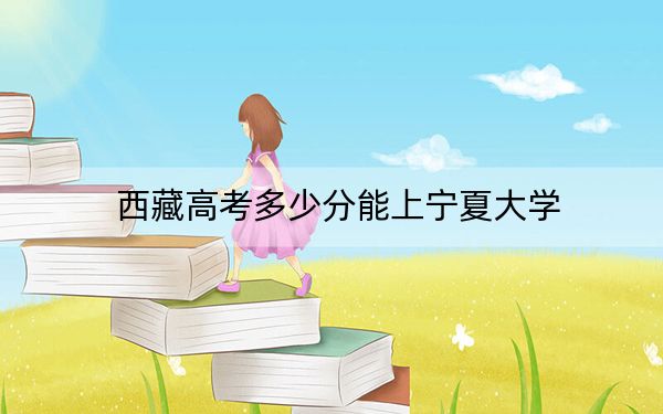 西藏高考多少分能上宁夏大学？2024年投档线分