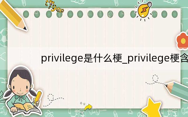 privilege是什么梗_privilege梗含义及来源 快吧手游