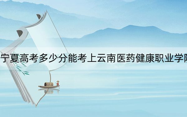 宁夏高考多少分能考上云南医药健康职业学院？2024年文科录取分353分 理科最低324分