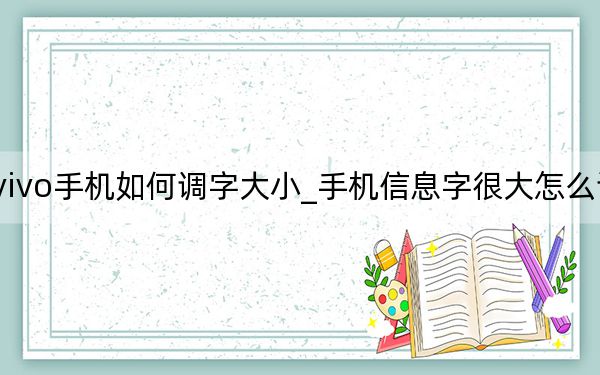 vivo手机如何调字大小_手机信息字很大怎么调小