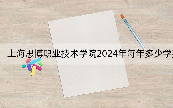 上海思博职业技术学院2024年每年多少学费？每年最低24000元最高26800元（供河北考生参考）