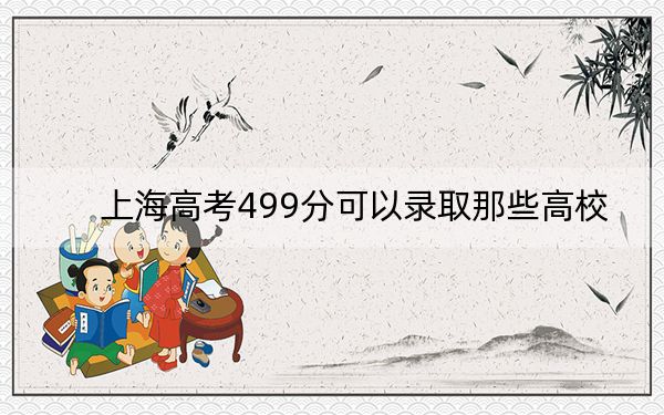 上海高考499分可以录取那些高校？ 2025年高考可以填报11所大学