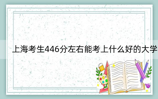 上海考生446分左右能考上什么好的大学？