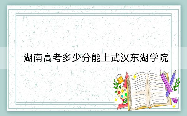 湖南高考多少分能上武汉东湖学院？附2022-2024年最低录取分数线