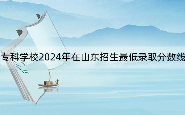 山东电力高等专科学校2024年在山东招生最低录取分数线和招生计划公布!