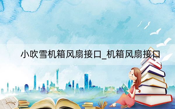 小吹雪机箱风扇接口_机箱风扇接口