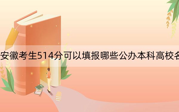 安徽考生514分可以填报哪些公办本科高校名单？ 2024年高考有70所最低分在514左右的大学