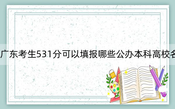 广东考生531分可以填报哪些公办本科高校名单? 2024年高考有70所最低分在531左右的大学