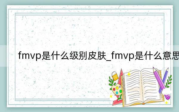 fmvp是什么级别皮肤_fmvp是什么意思啊