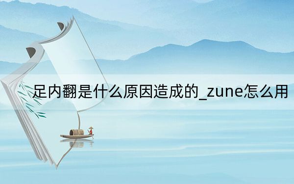 足内翻是什么原因造成的_zune怎么用