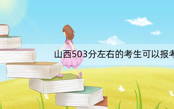 山西503分左右的考生可以报考哪些公办本科大学? 2024年高考有31所最低分在503左右的大学