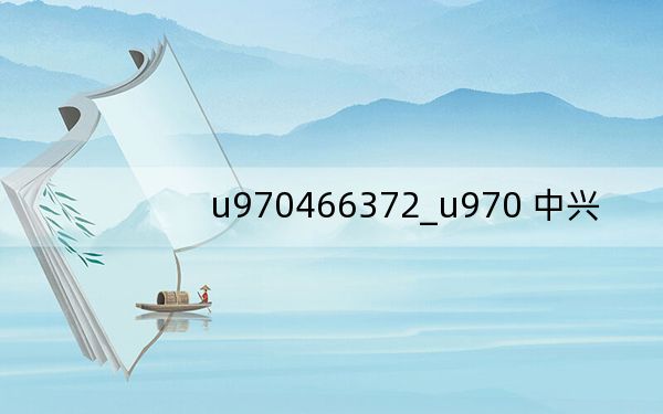 u970466372_u970 中兴