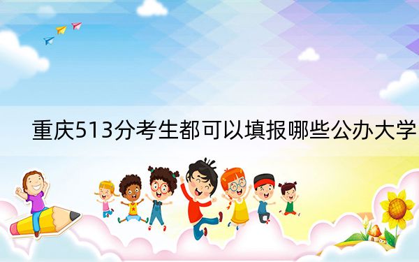 重庆513分考生都可以填报哪些公办大学?