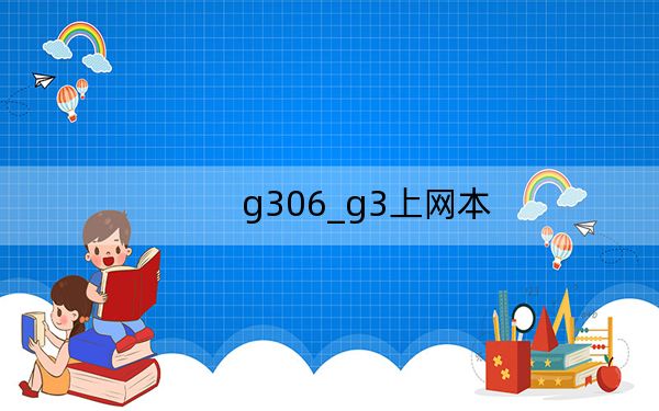 g306_g3上网本